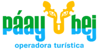 logo paaybeej