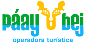 logo paaybeej