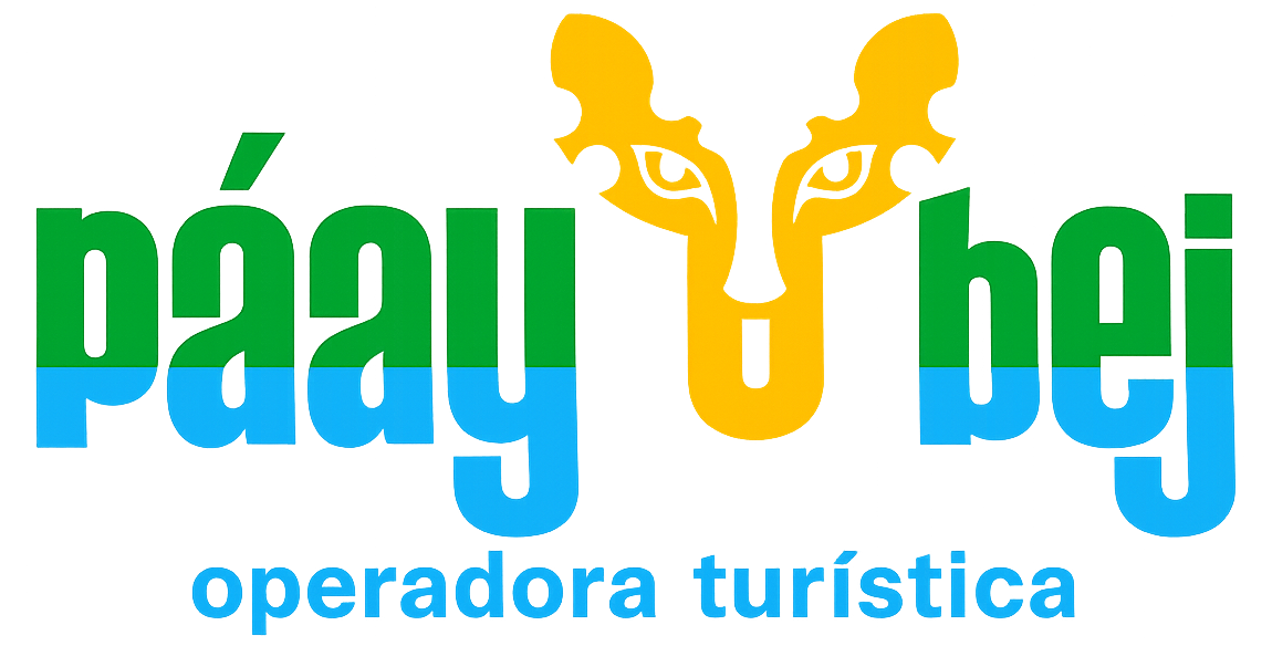 logo paaybeej